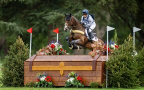 Europeo Completo, domina la Germania, ma Collett ruba la scena 1