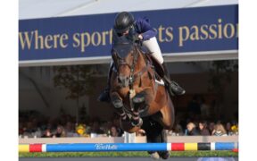 For Chacco TN è Sire of the World a Lanaken