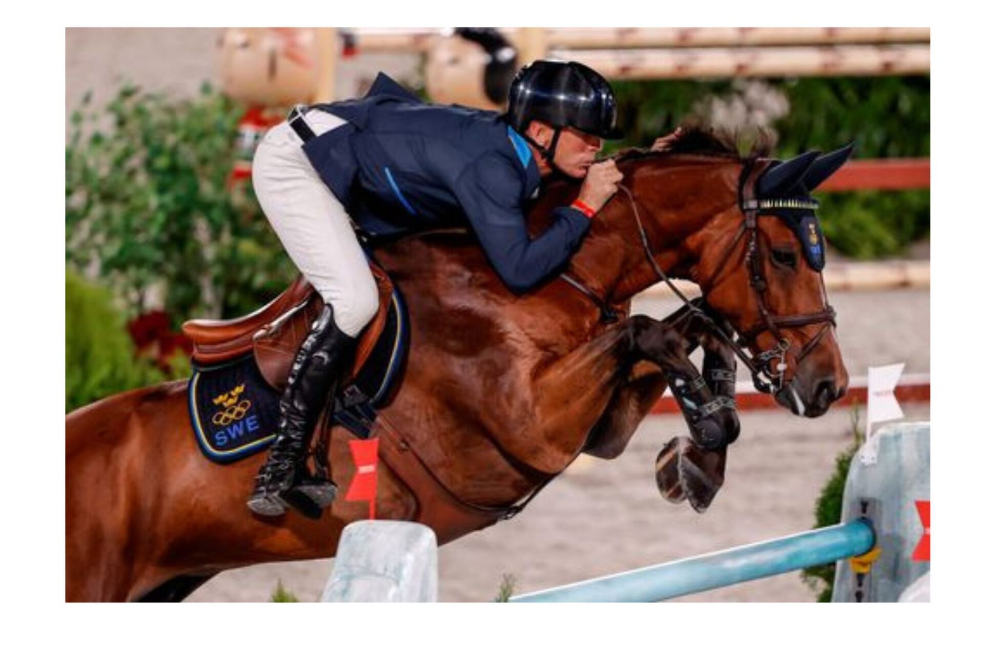 Fratelli pieni nel salto ostacoli – Mito o garanzia?