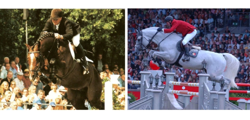 Holsteiner Top Sires a confronto: Acorado I vs Cumano 1