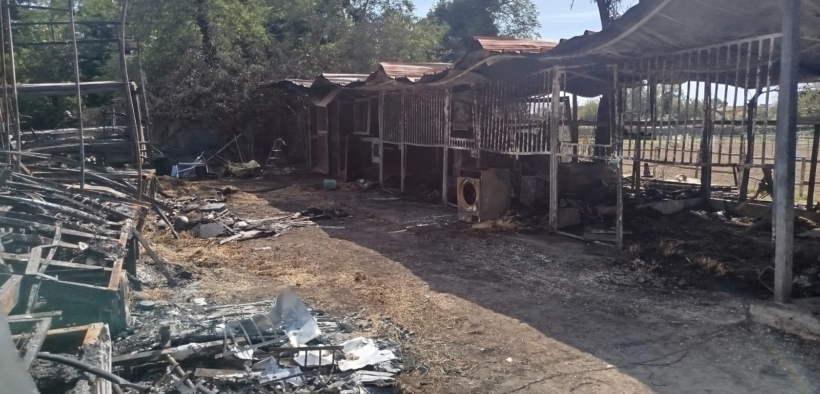 Tutto pare deporre per l'incendio doloso: le parole di Paolo Adorno