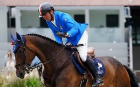 Venduto Chatolinue PS di Riccardo Pisani