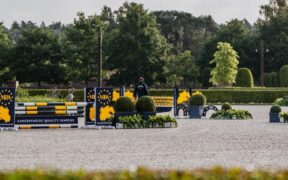 Zangersheide celebra i 30 anni dei Campionati del Mondo FEI WBFSH per Giovani Cavalli a Lanaken
