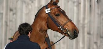 E’ mancato Vagabond de la Pomme