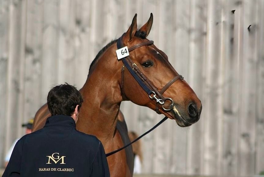 E’ mancato Vagabond de la Pomme