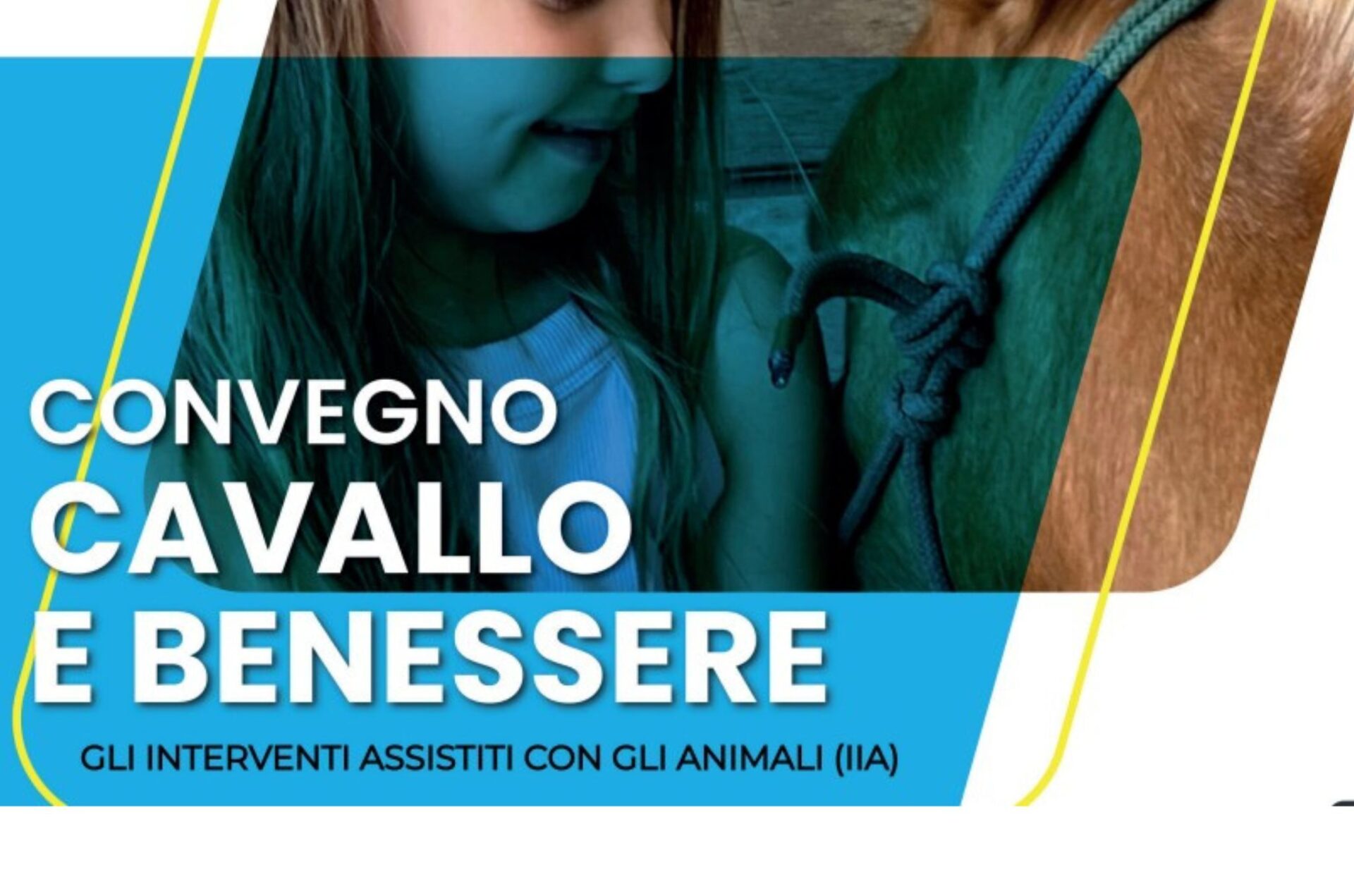 "Cavalli e benessere" pee interventi assistiti a bimbi e anziani: convegno a Fieracavalli
