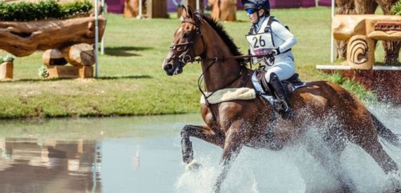 Cinque cavalli da completo che stanno spingendo la disciplina