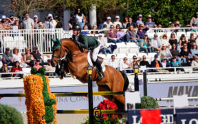 Darragh Kenny sospeso dalla FEI per positività a sostanza vietata durante gli Europei