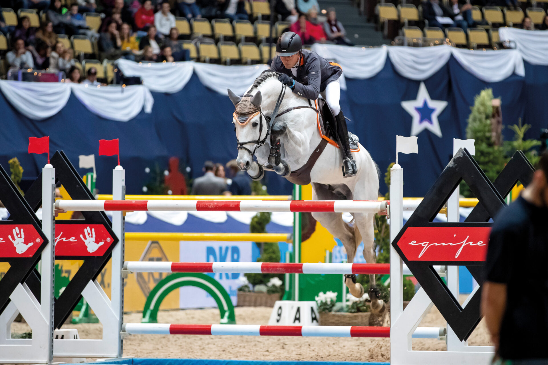 E' mancato a 16 anni lo stallone Chacoon Blue