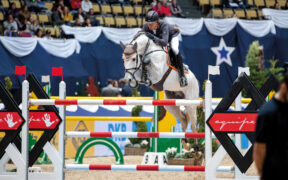 E' mancato a 16 anni lo stallone Chacoon Blue