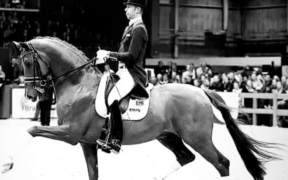 E’ mancato Vivaldi: stallone di punta KWPN