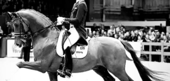 E’ mancato Vivaldi: stallone di punta KWPN