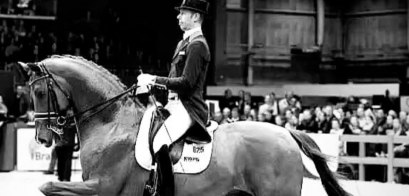 E’ mancato Vivaldi: stallone di punta KWPN