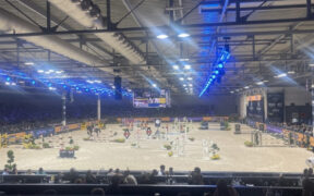 Fieracavalli 2025: presenti tre campioni in carica