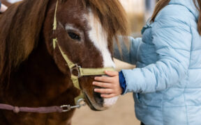 Fieracavalli, dove grandi e piccoli cavalcano la stessa passione