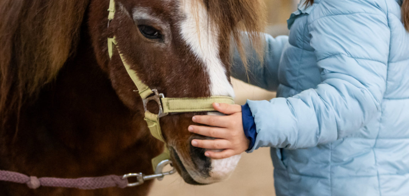 Fieracavalli, dove grandi e piccoli cavalcano la stessa passione