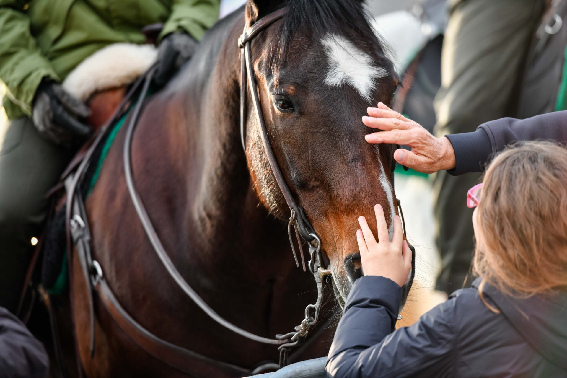 Fieracavalli: la biodiversità equina nazionale e internazionale