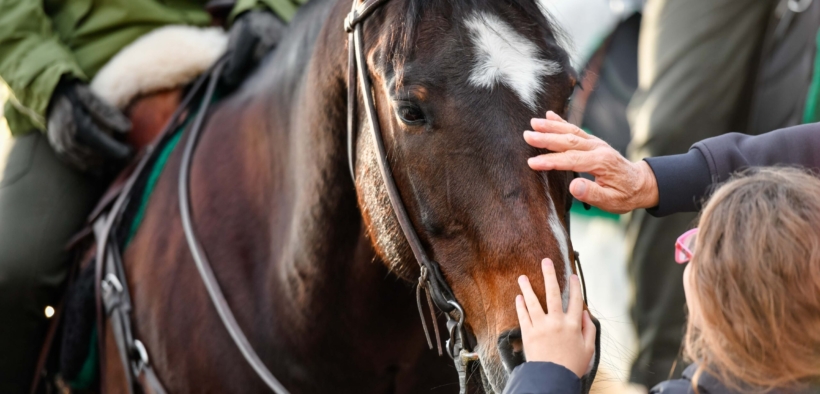 Fieracavalli: la biodiversità equina nazionale e internazionale