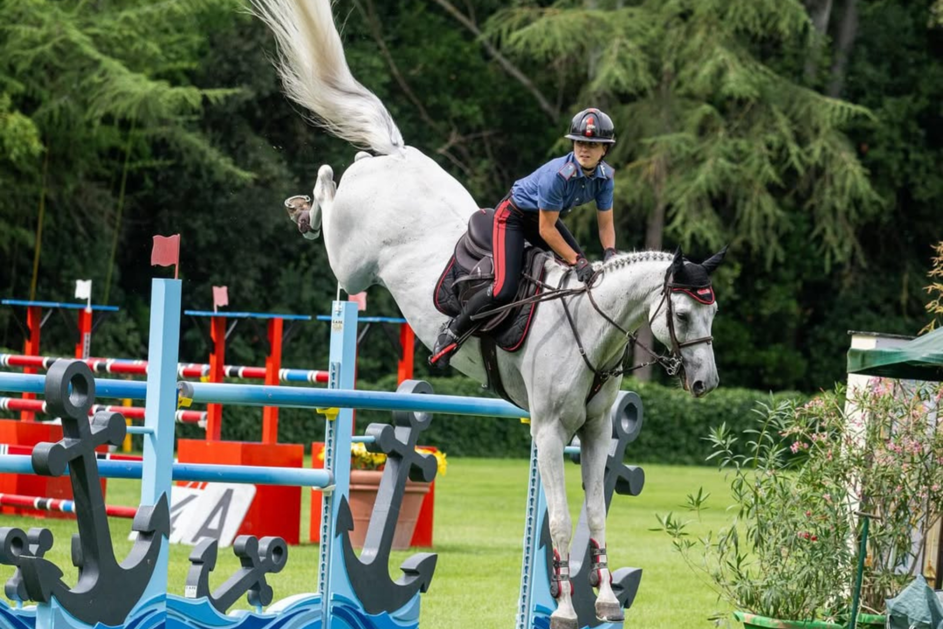 Gran Premi Naz. A5*/6*: ecco i risultati 2