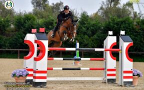 Gran Premi Naz. A5*: ecco i podi 115