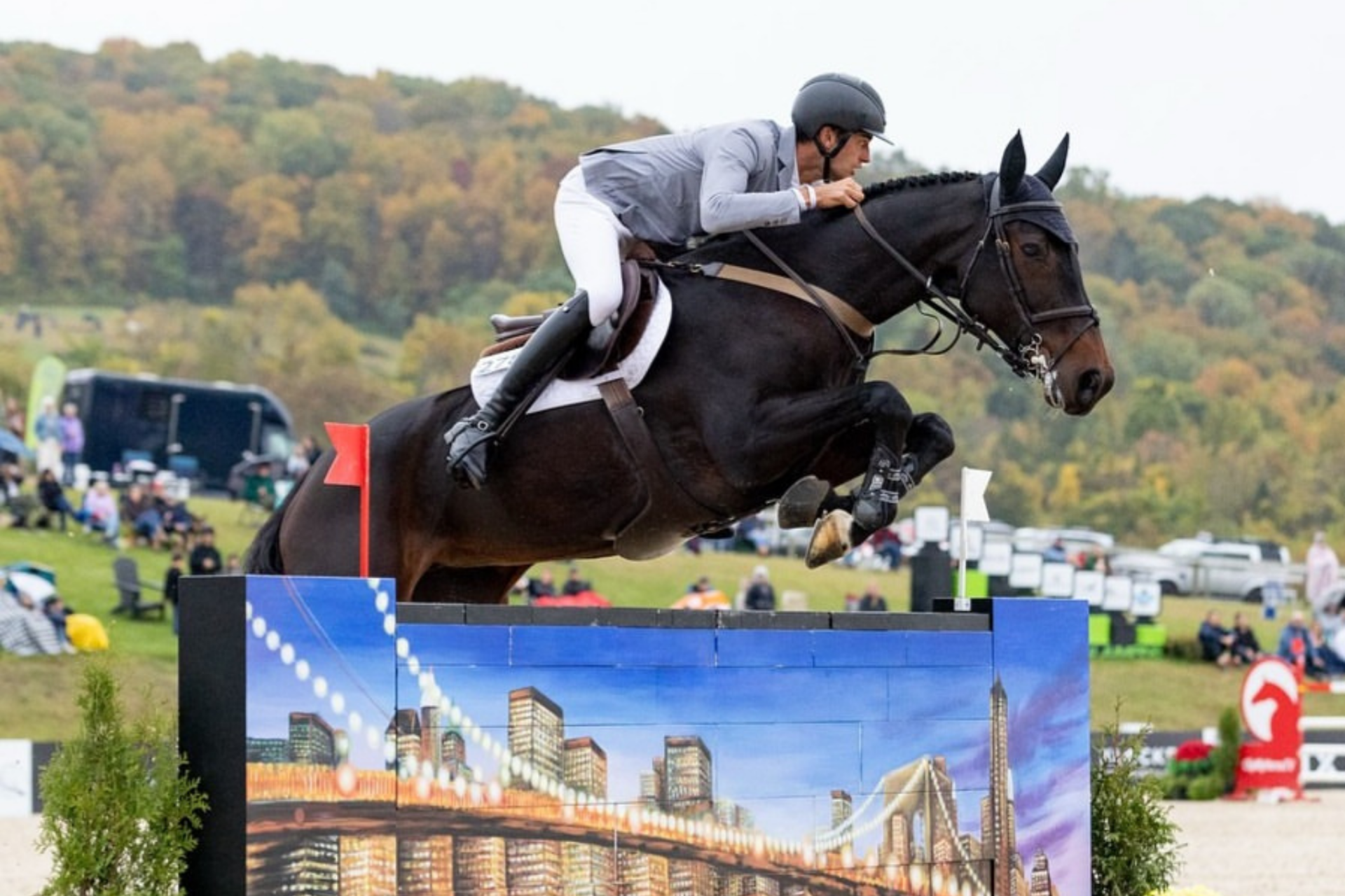 Grand Prix Internazionali: ecco i podi (# week 41)