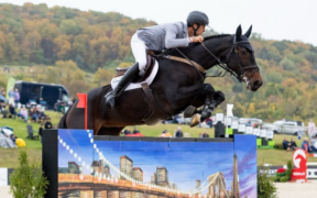 Grand Prix Internazionali: ecco i podi (# week 41)