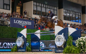 Grand Prix Internazionali: ecco i podi (# week 43)