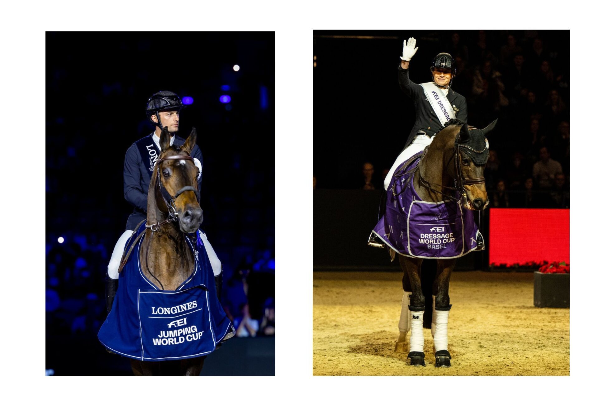 I calendari 2025-6 di Coppa del Mondo (salto ostacoli e dressage)