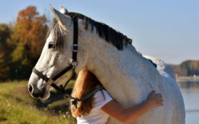Il cavallo come strumento educativo nella prevenzione della dipendenza digitale