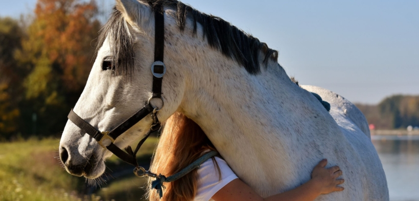 Il cavallo come strumento educativo nella prevenzione della dipendenza digitale