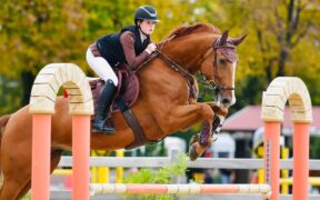 Il grande Chalou che ha scritto la storia con Emanuele Gaudiano e ora regala emozioni a Lisa