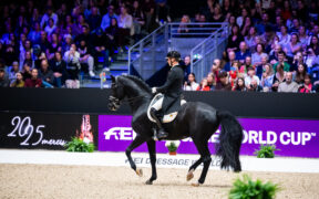Justin Verboomen vince il Freestyle nella World Cup Dressage FEI™ di Lione
