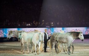 La poesia dell'arte equestre in scena a Fieracavalli: il racconto di "Bellezza"