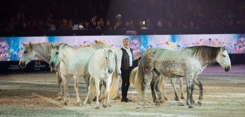 La poesia dell'arte equestre in scena a Fieracavalli: il racconto di "Bellezza"