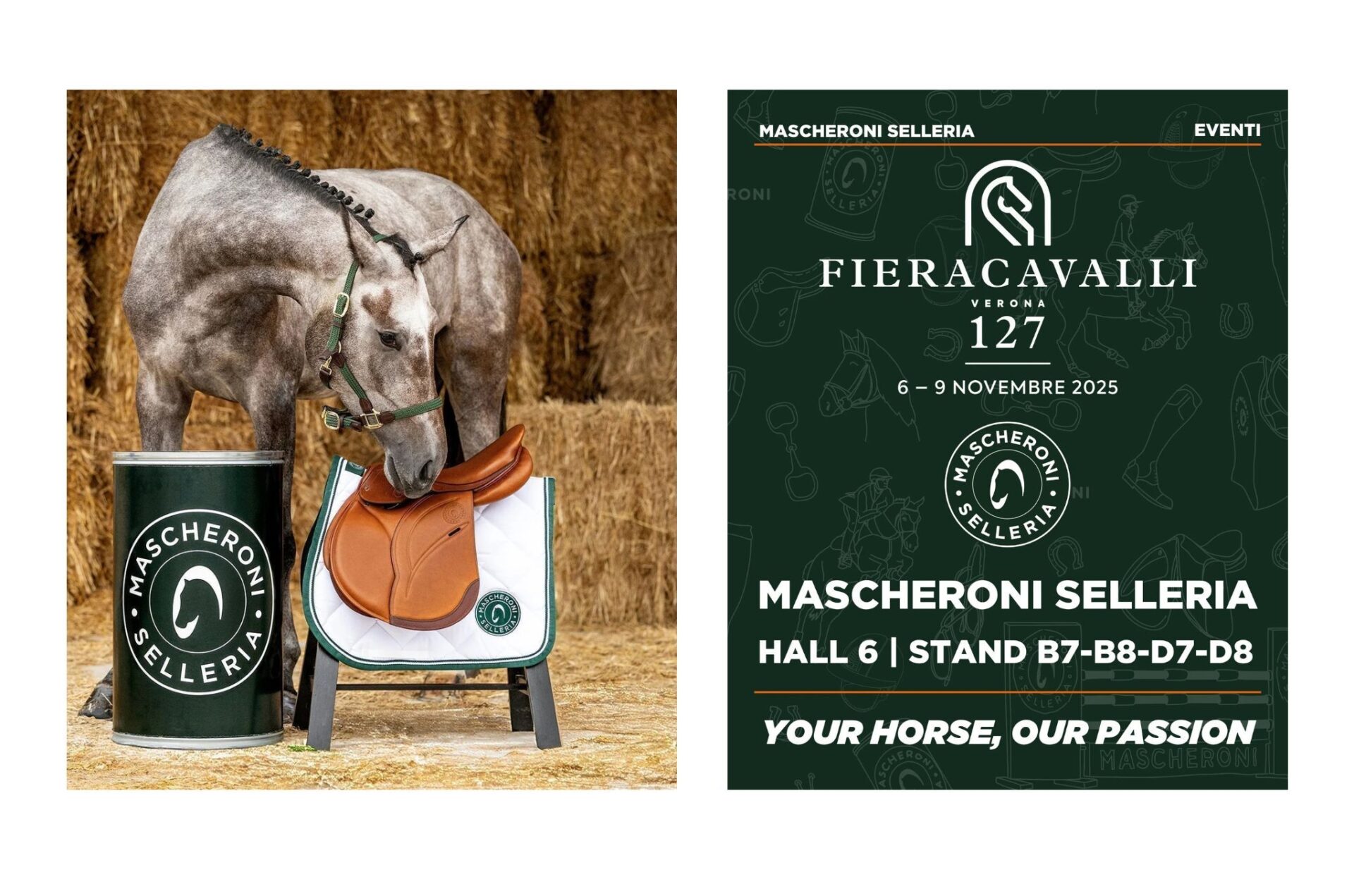 Mascheroni Selleria a Fieracavalli 2025: 600 mq nel segno dell'eccellenza 1