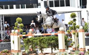 Philippe Rozier si ritira dall'agonismo: "voglio lasciare spazio alle giovani generazioni"