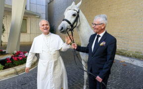 Un grigio in dono a Papa Leone XIV