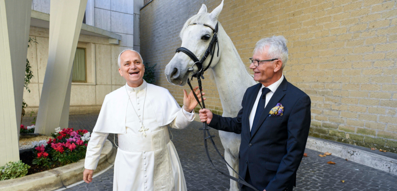 Un grigio in dono a Papa Leone XIV