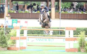 Venduto Jappeloup (Lorenzo De Luca)