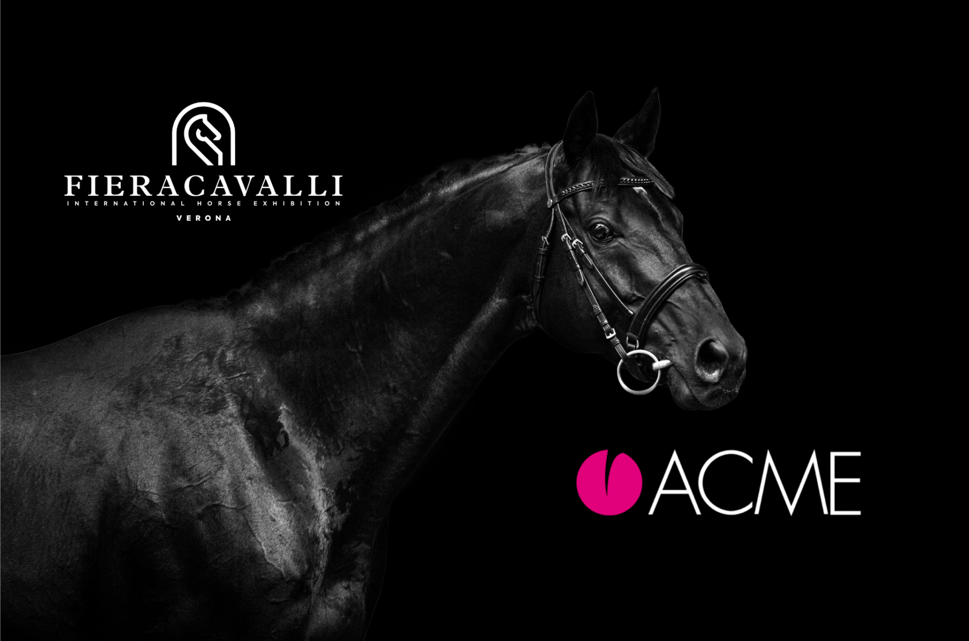 ACME presente a Fieracavalli Verona: Pad. 4 stand B4 2
