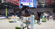 Altra vittoria per Gaudiano: sua la 145 accumulator di Verona (CSI5*-W)