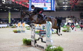 Altra vittoria per Gaudiano: sua la 145 accumulator di Verona (CSI5*-W)