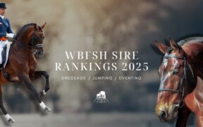 Annunciati i WBFSH Sire Rankings 2025 per Dressage, Salto Ostacoli e Completo