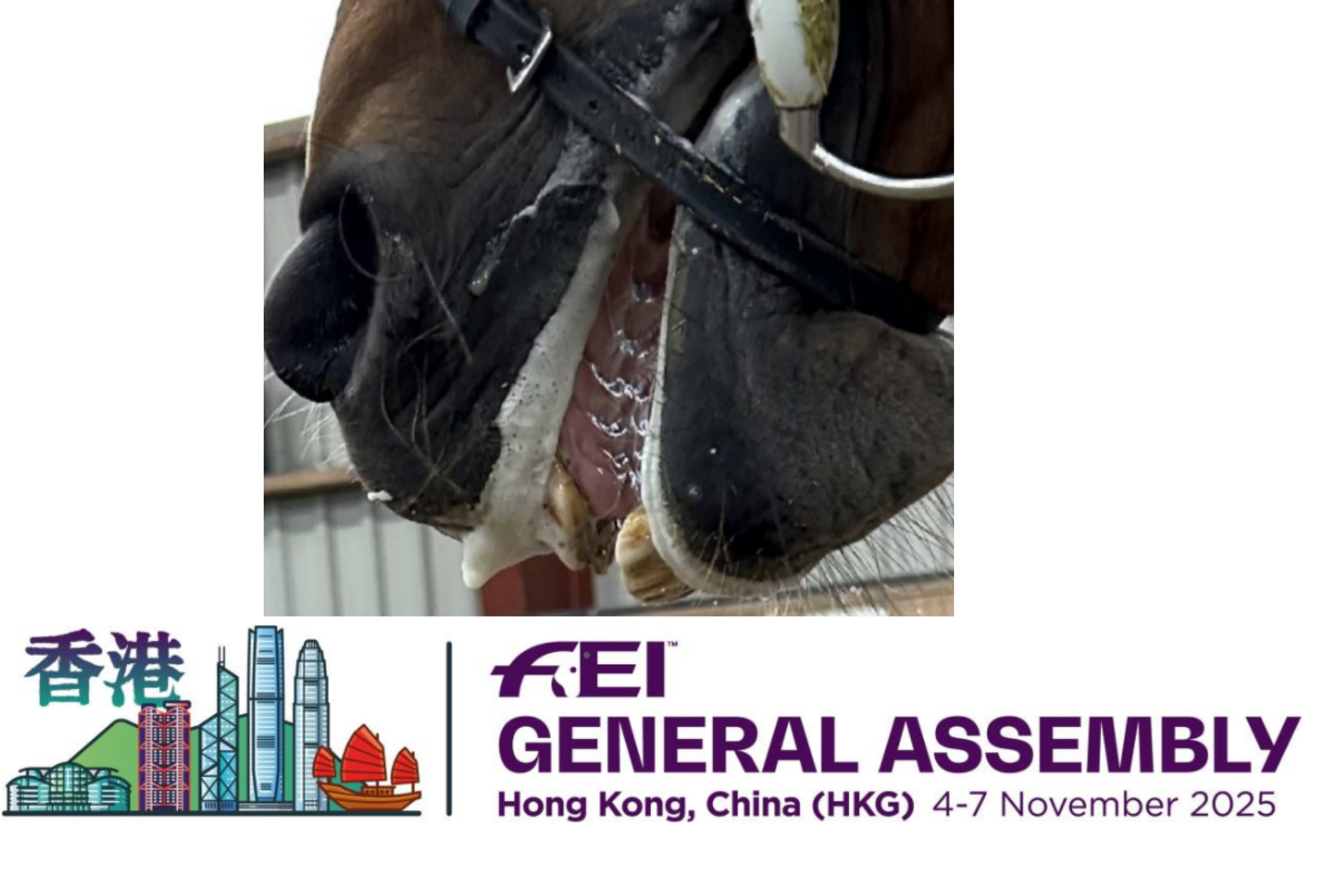 Assemblea Generale FEI: approvate le modifiche alle regole del salto ostacoli