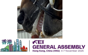 Assemblea Generale FEI: approvate le modifiche alle regole del salto ostacoli