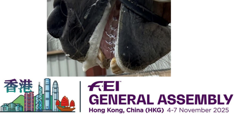 Assemblea Generale FEI: approvate le modifiche alle regole del salto ostacoli