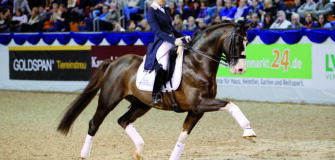 Benicio (Callaho's Benicio)