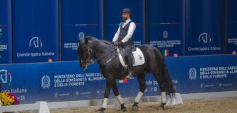 Cent’anni di tradizione, un secolo di prospettive: quattro proposte per il Cavallo Murgese