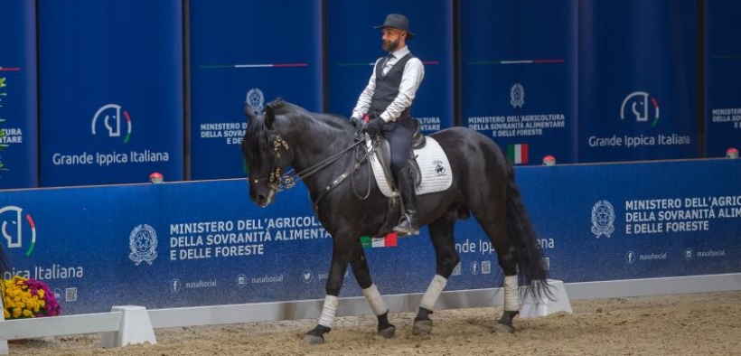 Cent’anni di tradizione, un secolo di prospettive: quattro proposte per il Cavallo Murgese