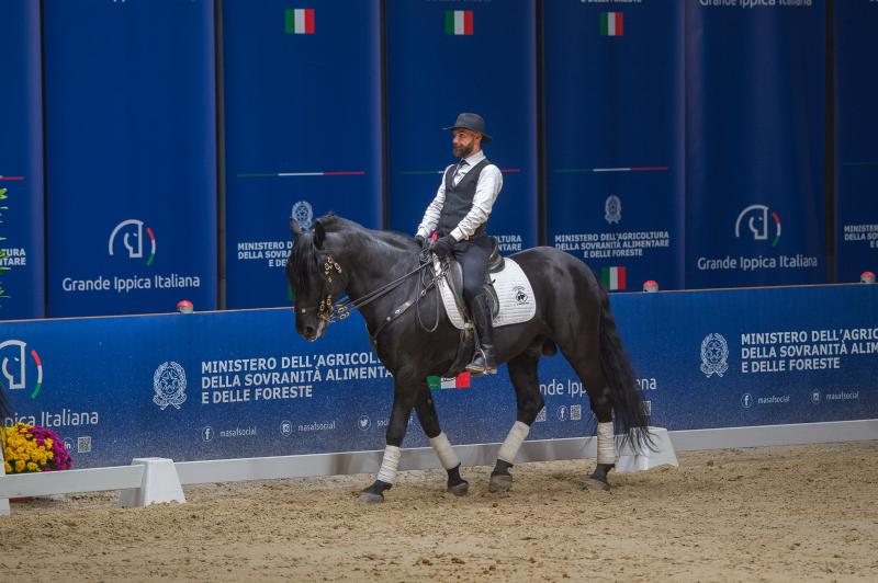 Cent’anni di tradizione, un secolo di prospettive: quattro proposte per il Cavallo Murgese